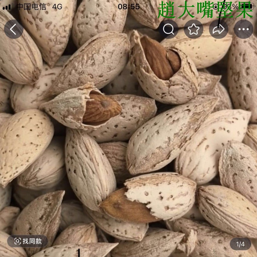 趙大嘴堅果 新疆特產巴達木手紙皮原味500巴旦杏仁堅果桃仁零食 堅果 零食 休閒零食 巴旦木 杏仁 扁桃仁 | 蝦皮購物