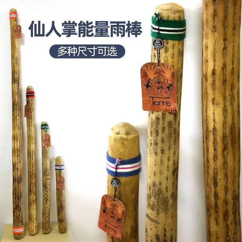 徳瑞雨棒僊人掌雨棍仿下雨聲音瑜伽靈修民族樂器雨棍助眠電子 雨聲筒 祈雨棒 雨棍 雨聲器 沙筒 樂器伴奏 手搖樂器 | 蝦皮購物