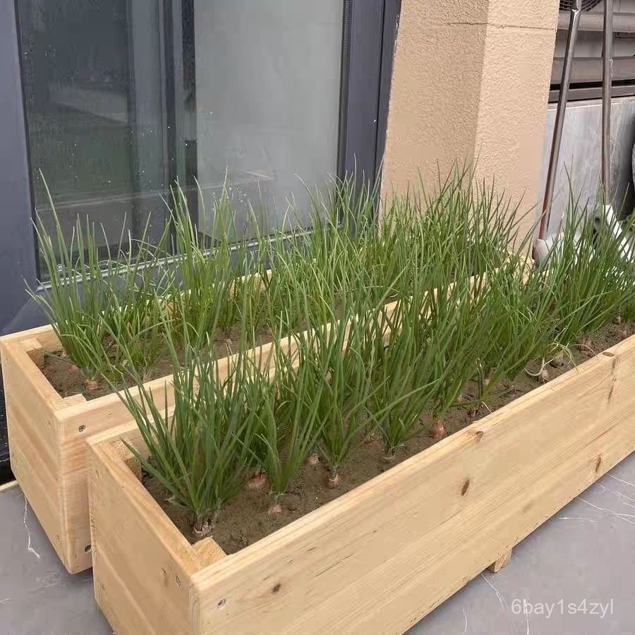 原木種菜盆正方形天臺木箱陽臺種植箱杉木種菜神器定製精選木花盆 原木種菜盆正方形天臺木箱陽臺種植箱杉木種菜神器定製精選木花盆