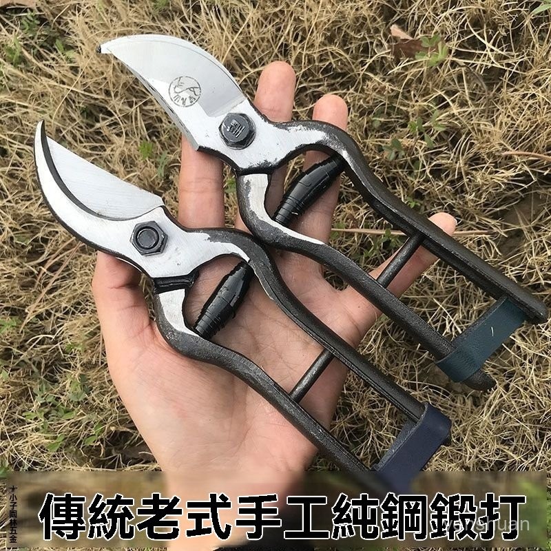 老式鐵匠鍛打望兒山果樹剪土枝剪修枝剪園藝小剪刀修枝剪古董剪 | 蝦皮購物