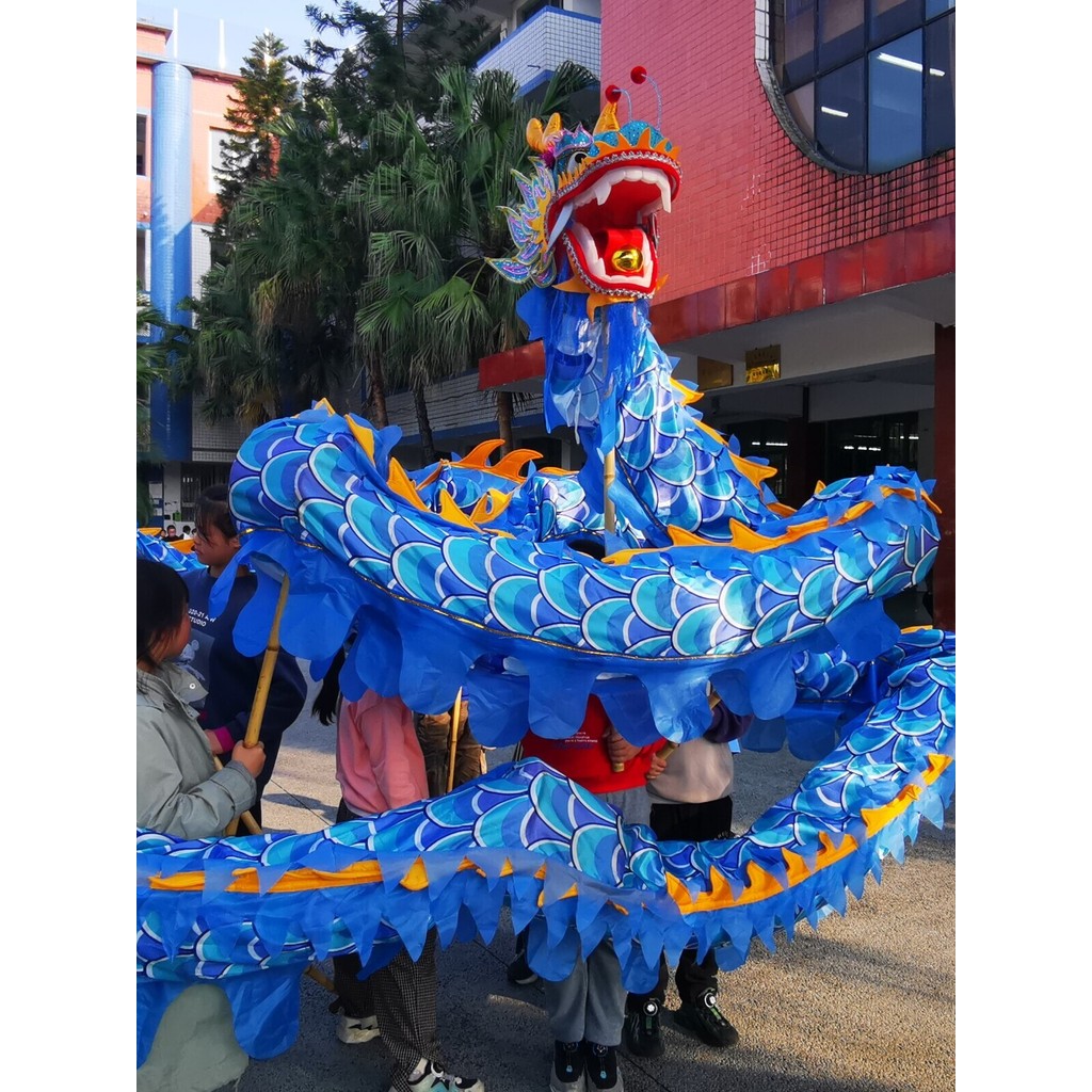 兒童舞龍學生舞龍5號8寸龍兒童舞龍道具7-14歲舞龍舞獅舞龍道具櫻桃小丸子精品店 | 蝦皮購物
