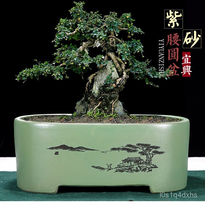 紫砂花盆長方形盆景盆四方花盆榕樹老樁陶瓷花盆| 蝦皮購物