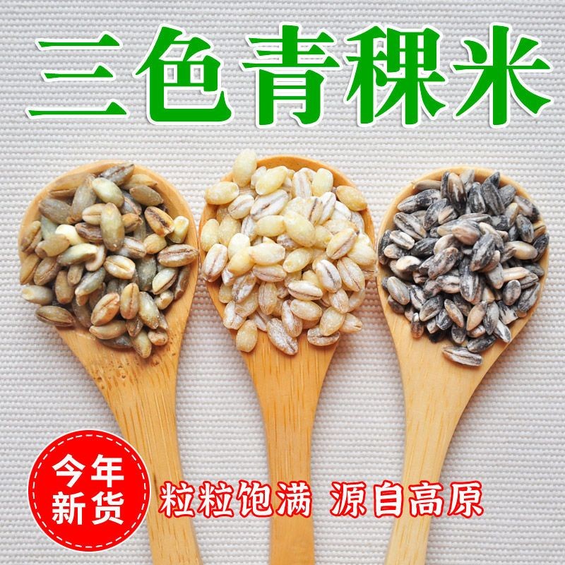 新品特惠 五穀雜糧 新米黑藍白青稞米去皮生青稞仁糖友五穀雜糧粗糧煮粥青海藏區特産 | 蝦皮購物