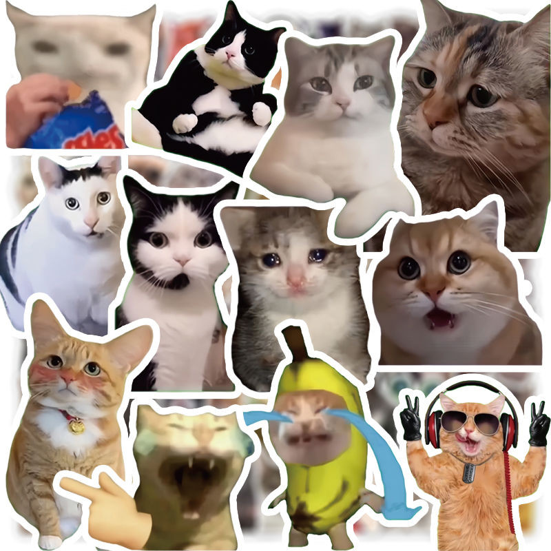 300張貓meme貼紙可愛搞笑鬼畜貓咪ins風錶情包梗圖素材手賬本貼畵 | 蝦皮購物