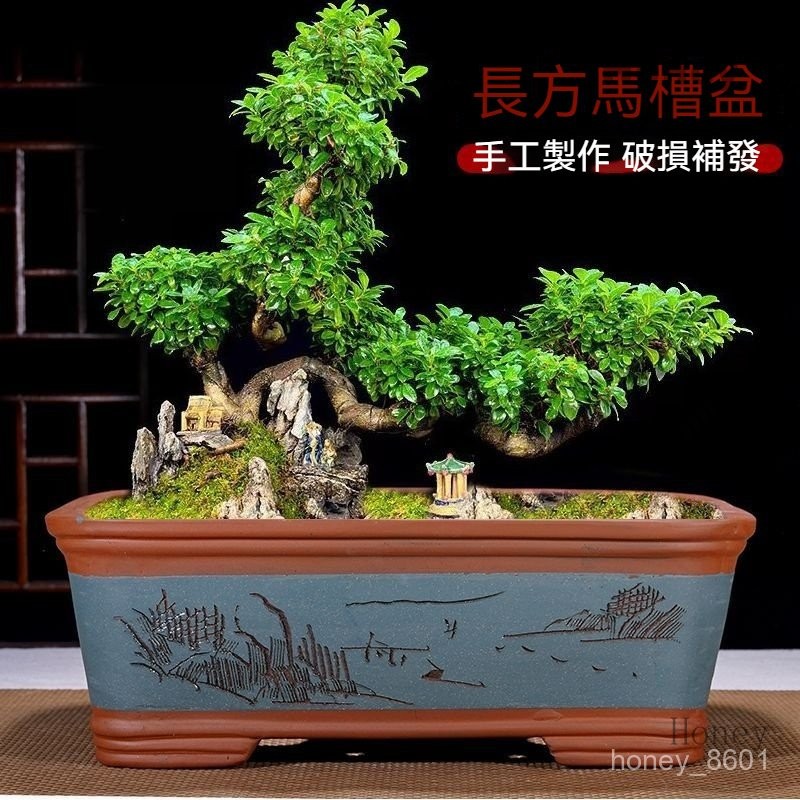 工廠直銷♥（免運）長方形紫砂花盆大口徑種樹樁四方馬槽盆純手工製作種