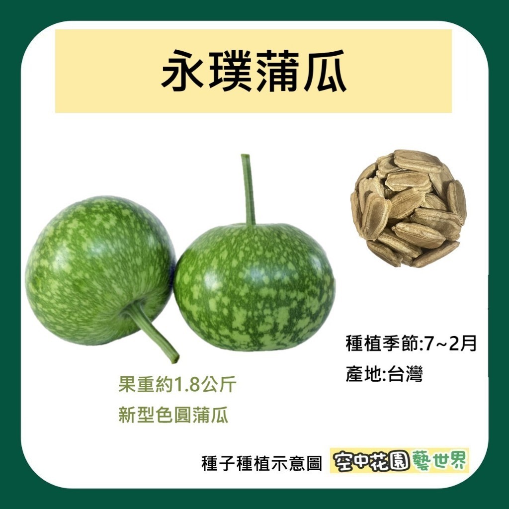 【台灣出貨 電子發票】永璞蒲瓜 種子 花匏仔 蒲仔 瓠瓜 匏瓜 葫蘆 菜籽 空中花園藝世界 | 蝦皮購物