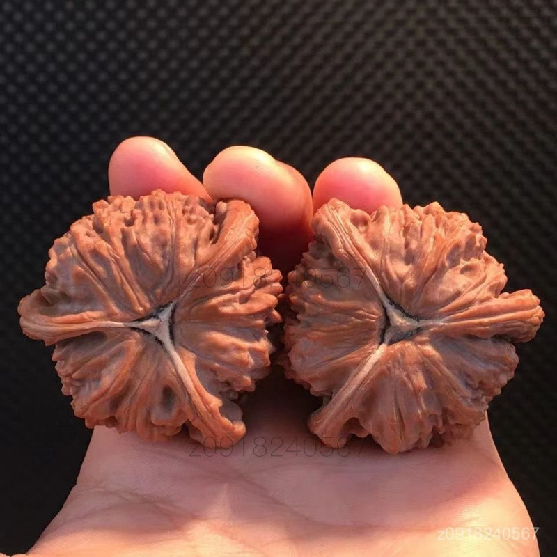 精品優選】精品非盤山天然無修正奔三稜文玩核桃大奔異三角白獅子頭手盤