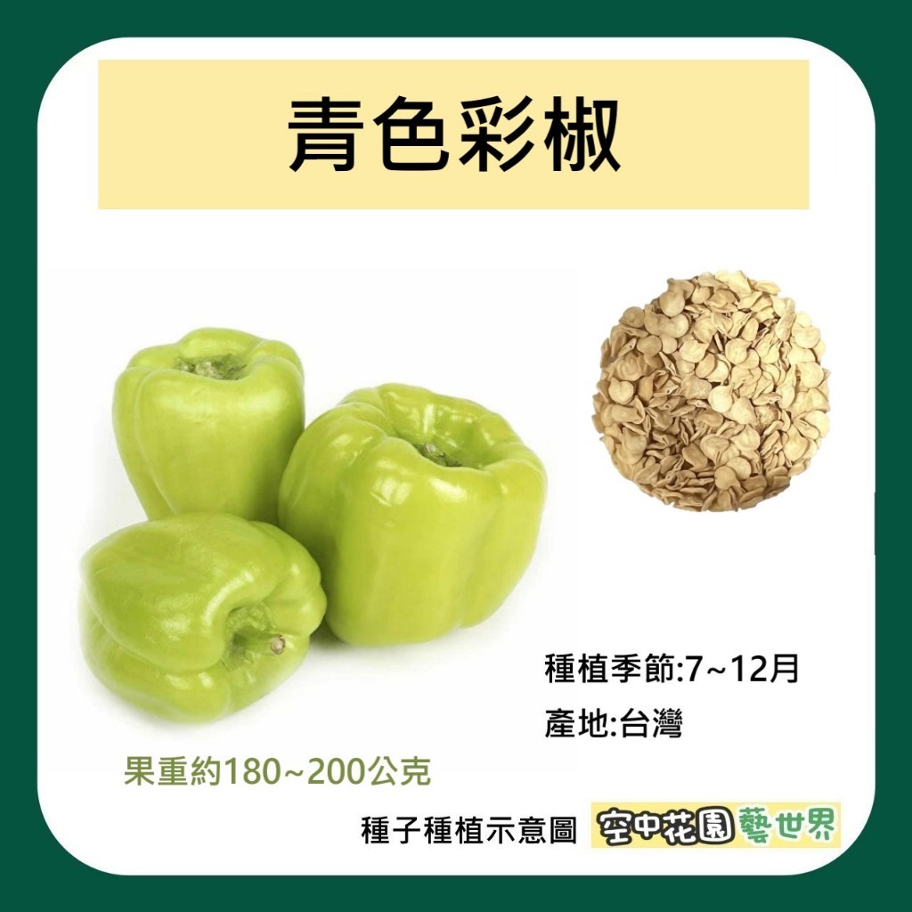 【台灣出貨 電子發票】大果彩色甜椒 種子 菜籽 甜椒 彩椒 青蘋果綠 空中花園藝世界 | 蝦皮購物