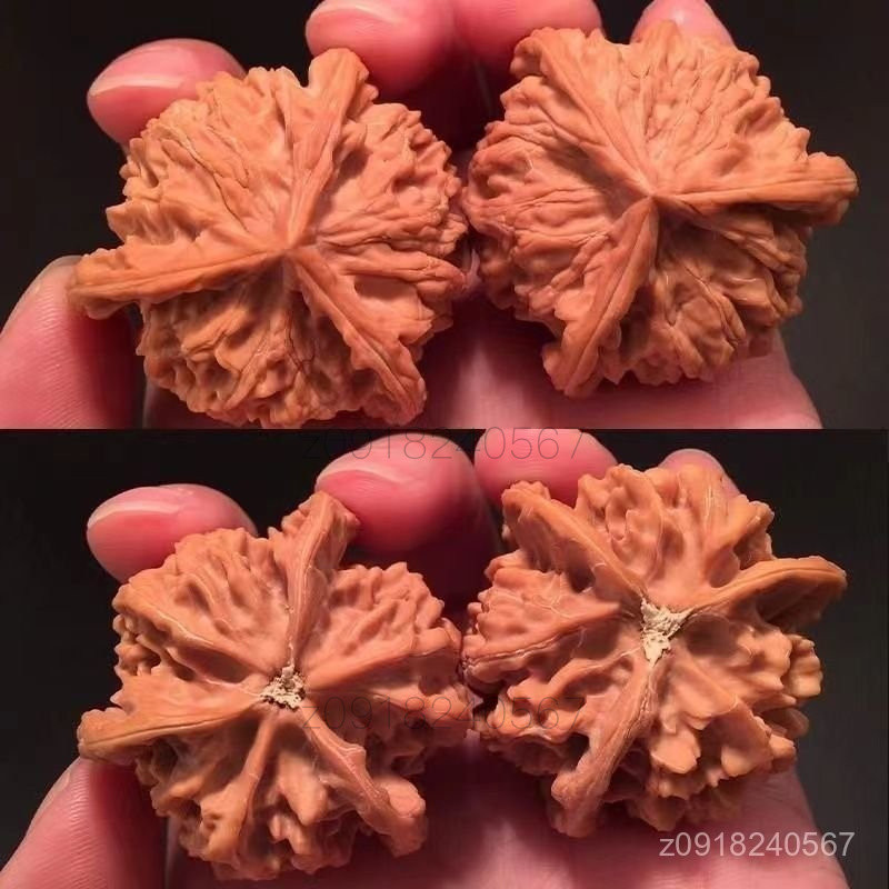 精品優選】精品非盤山天然無修正奔三稜文玩核桃大奔異三角白獅子頭手盤