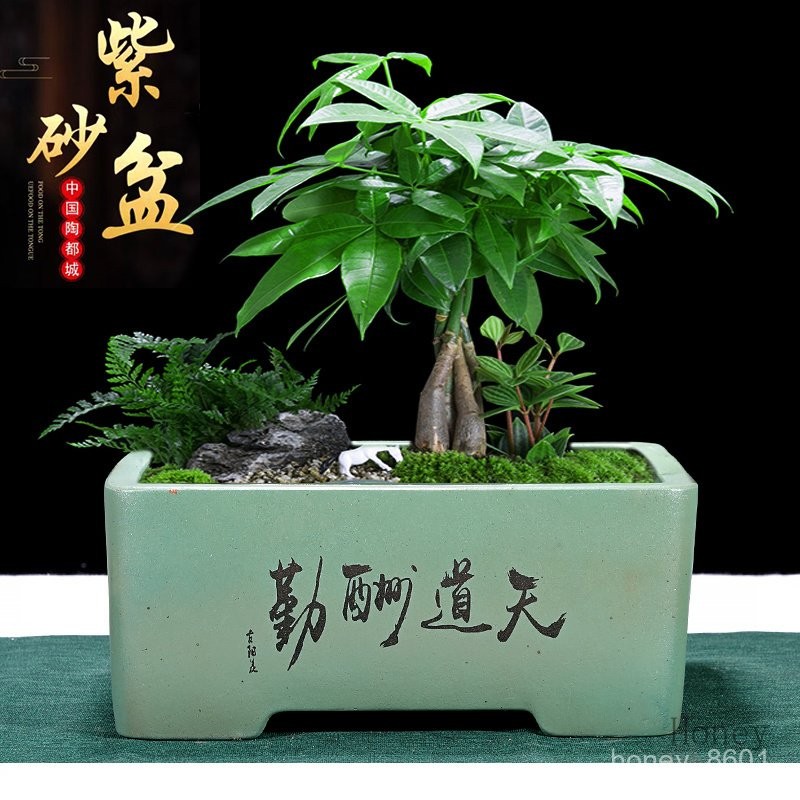 紫砂鉢 陶磁盆 景盆 長方形奎面馬槽盆大盆栽 小盆栽 工芸品 置物 工廠直銷♥（免運）紫砂花盆長方形盆景盆四方花盆榕樹老樁陶瓷花盆廠家