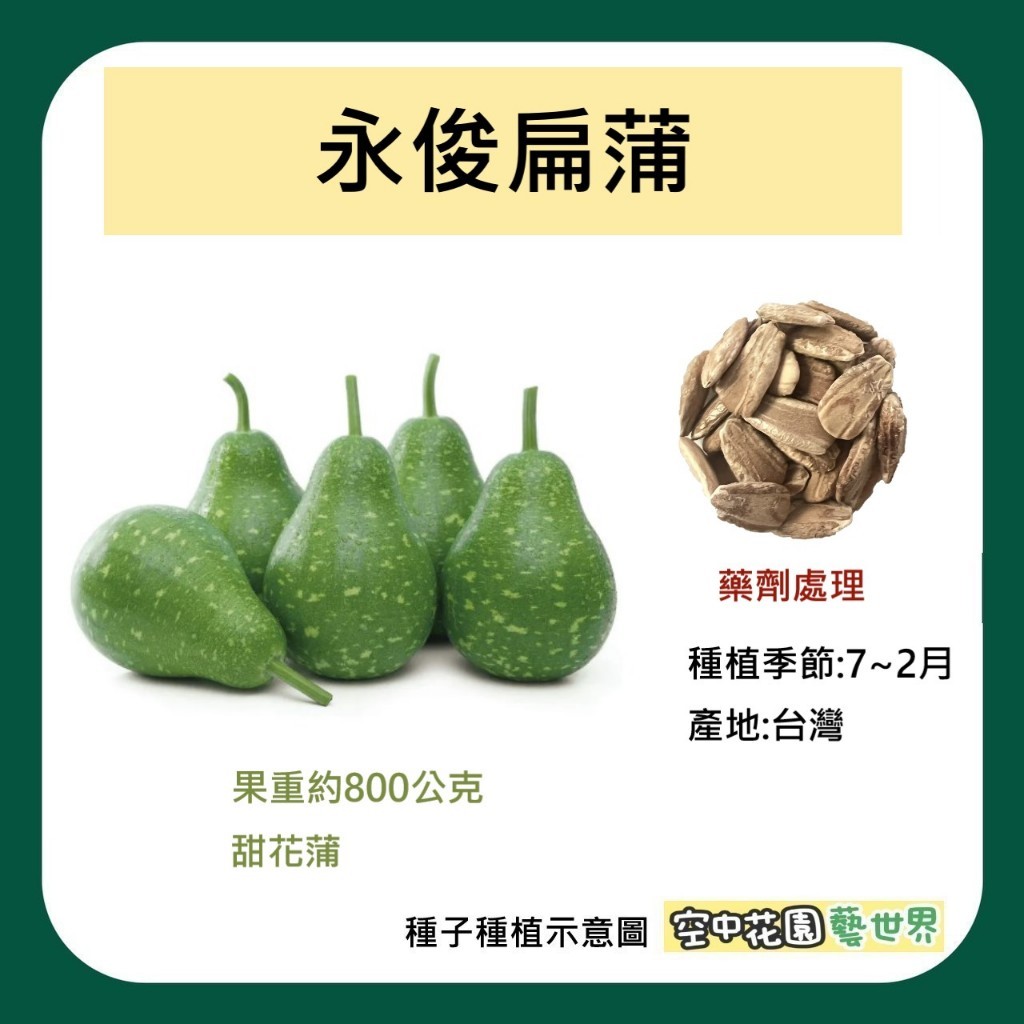 【台灣出貨 電子發票】永俊扁蒲 種子 花匏仔 蒲仔 瓠瓜 匏瓜 葫蘆 菜籽 空中花園藝世界 | 蝦皮購物