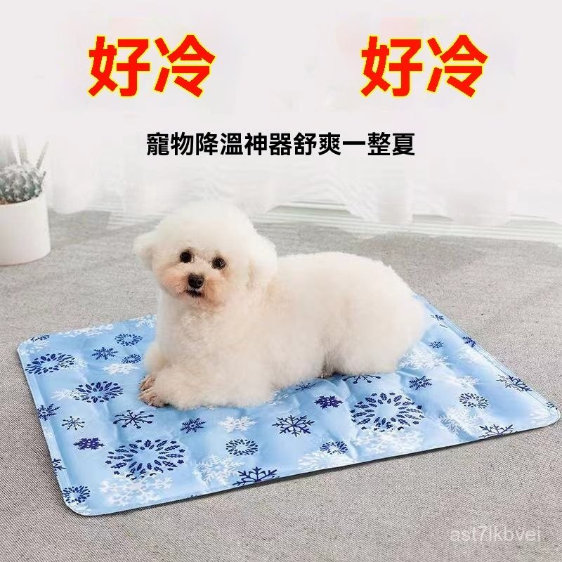 ️清涼一夏 ️貓狗冰窩 寵物註水冰墊 貓狗冰墊 寵物涼感墊 降溫凝膠 貓狗夏季冰窩 寵物水床 貓狗夏季降溫狗狗冰墊夏天 | 蝦皮購物