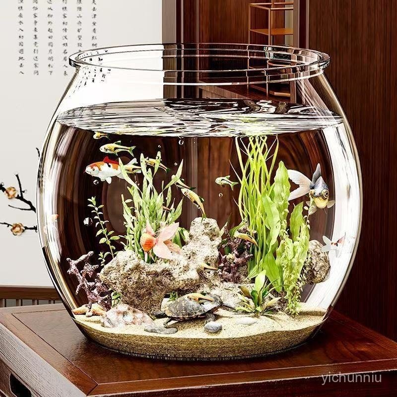金魚生態缸- 優惠推薦- 2025年8月| 蝦皮購物台灣