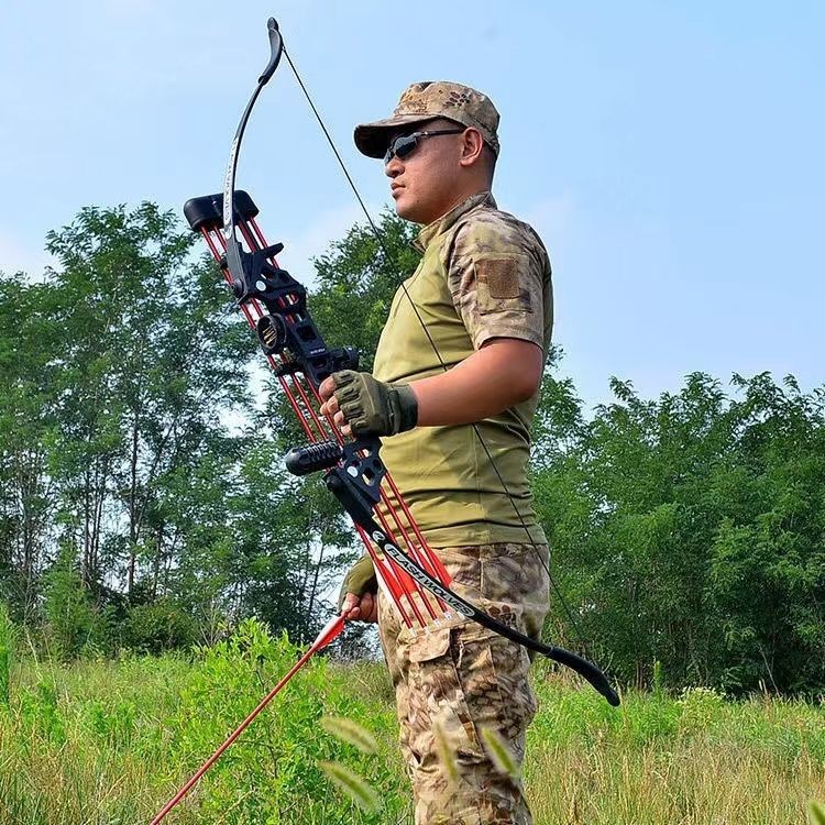 反曲弓 比賽弓射箭 射擊射箭 複閤弓 滑輪弓 德樂石反曲直拉複閤弓射擊運動閤金反曲弓射箭套裝傳統複閤弓健 Q0KG | 蝦皮購物