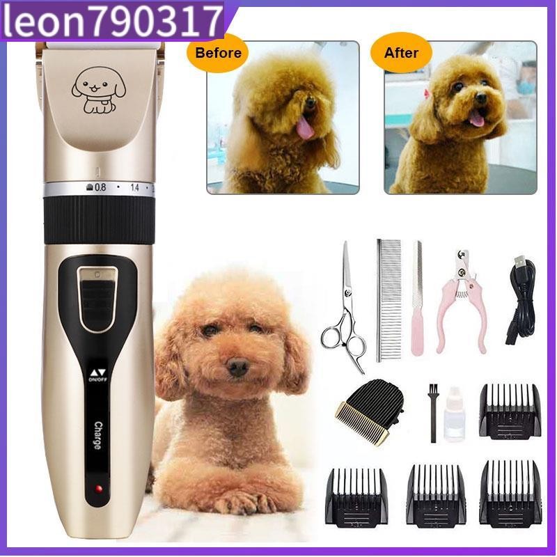 How to Groom a Poodle: A Complete Guide for Beginners - wikiHow