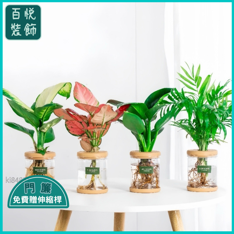 金鉆- 優惠推薦- 2025年7月| 蝦皮購物台灣
