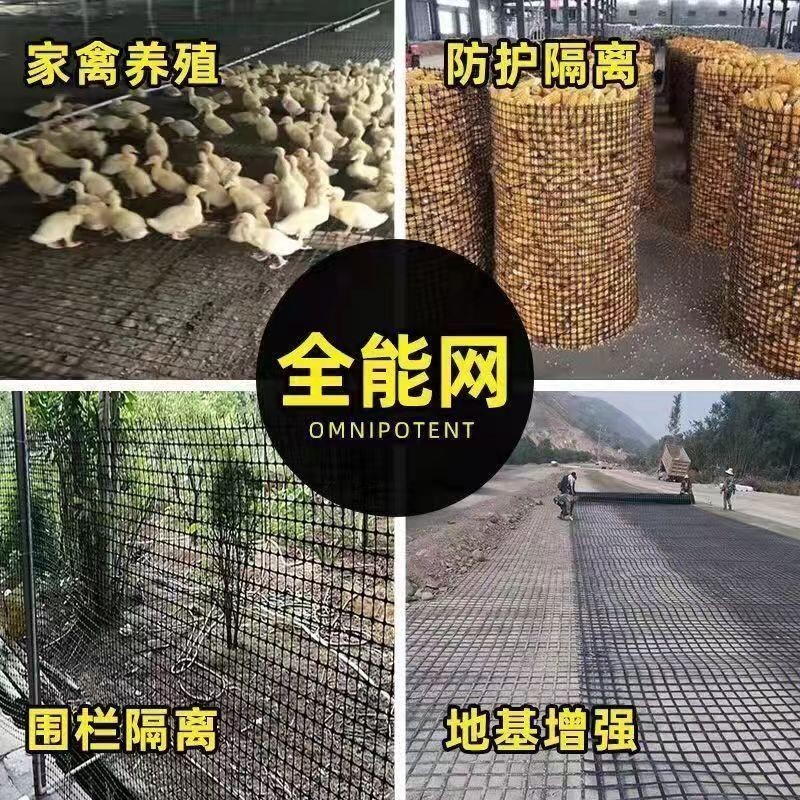 【新店福利價】養鷄圍欄 家禽養雞網 欄雞網 養殖網 菜園網 圍山雞網 防雞網 圍欄網 尼龍網 農用圍地網 家禽圍欄 塑料 | 蝦皮購物