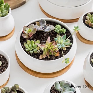 六角花器- 優惠推薦- 2025年11月| 蝦皮購物台灣