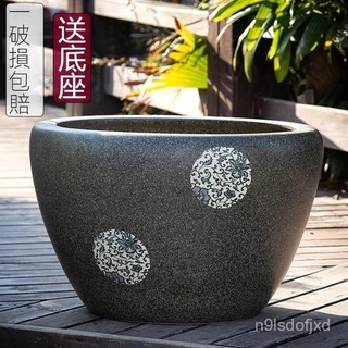 特大荷花缸 • 金魚缸 大型荷花缸的價格推薦- 2025年7月| 比價比個夠BigGo