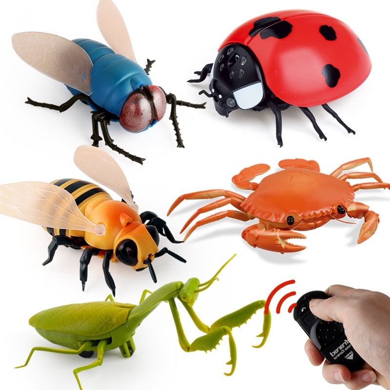 Infrared RC Remote Control Animal Insect Ladybug Crab Moth F | 蝦皮購物