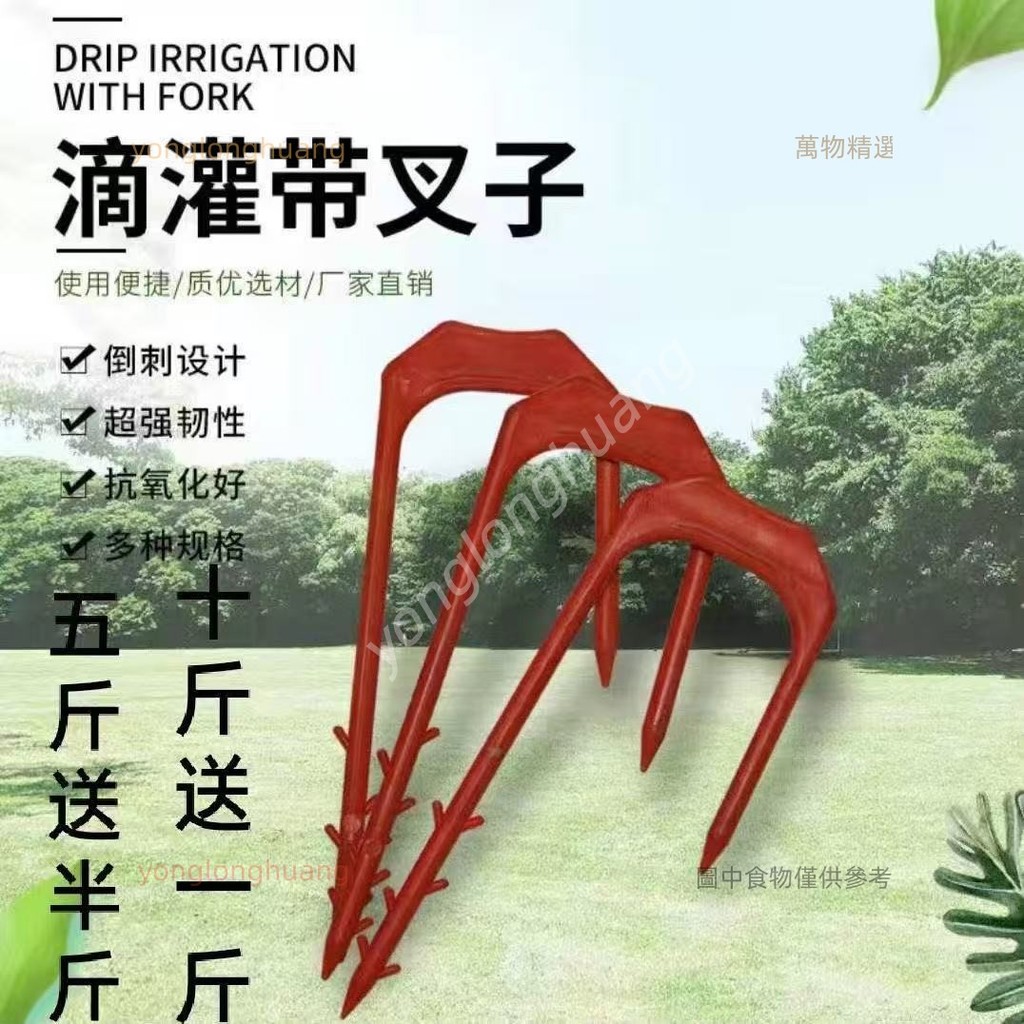 西瓜叉草莓叉植物定根器 滴管帶固定叉 防風叉 滴灌管配件 固定器滴灌卡子 滴帶卡扣 育苗叉 Yonglong | 蝦皮購物