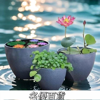 荷花水缸｜優惠推薦- 蝦皮購物- 2026年3月