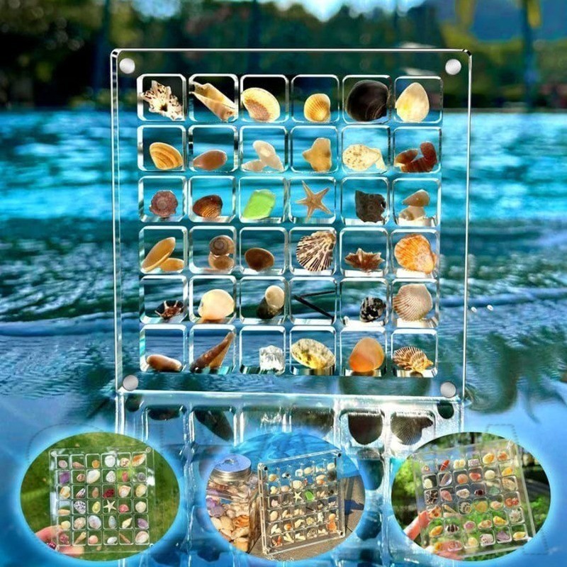 Magnetic Seashell Display Box - Decorative Ornaments Organiz | 蝦皮購物