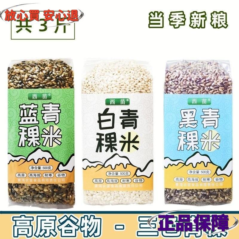 青稞米 青海西藏高原西苗藍青稞五穀白青稞雜糧黑青稞麥仁粥五穀 | 蝦皮購物