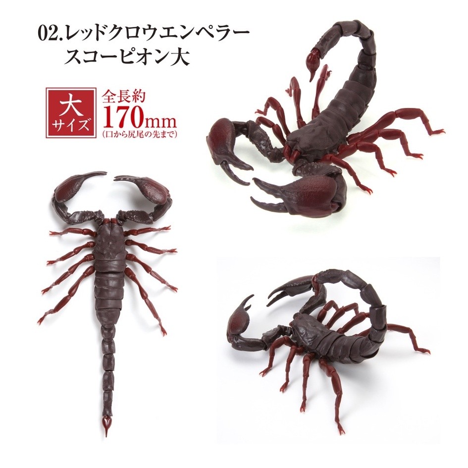 現貨』生物大圖鑑-蠍子篇扭蛋轉蛋【蛋樂寶】 | 蝦皮購物