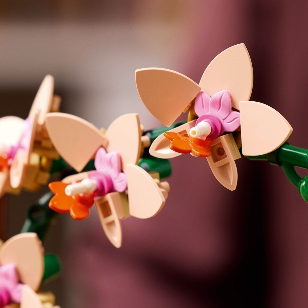 LEGO樂高】梅蘭竹菊開運組_10369梅花+10343蘭花+10344開運竹+10368菊花