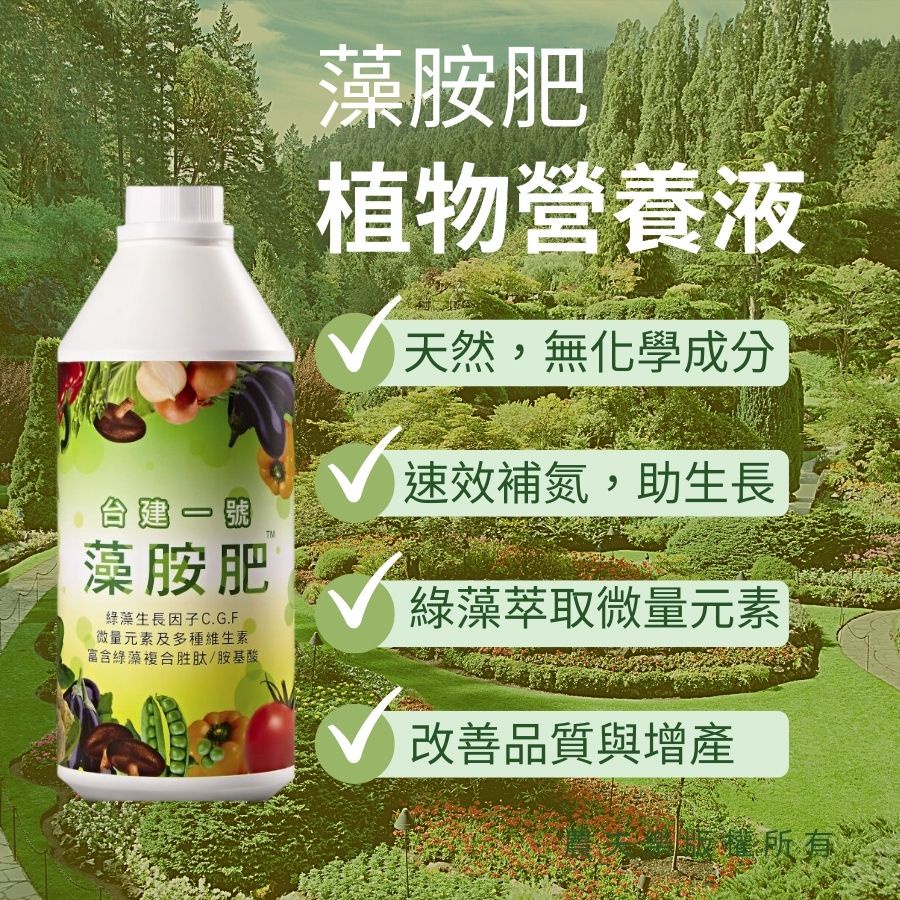 快速生長】植物營養液肥料液肥0.25L 有機肥植物肥料多肉肥料葉肥花肥