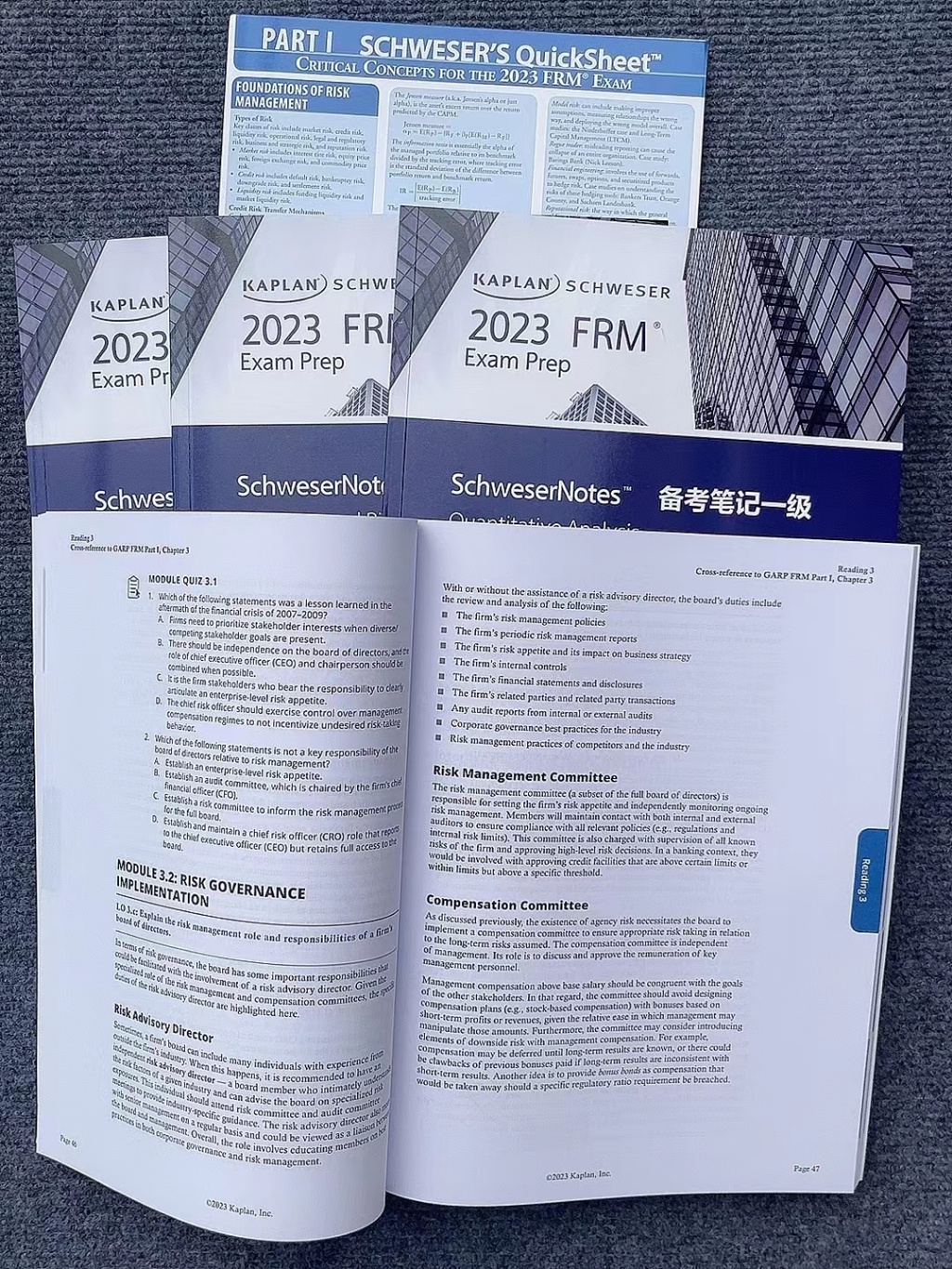 2023 frm Notes一二級 英文教材+習題英文原版教材備考筆記國際金融風險管理師 | 蝦皮購物