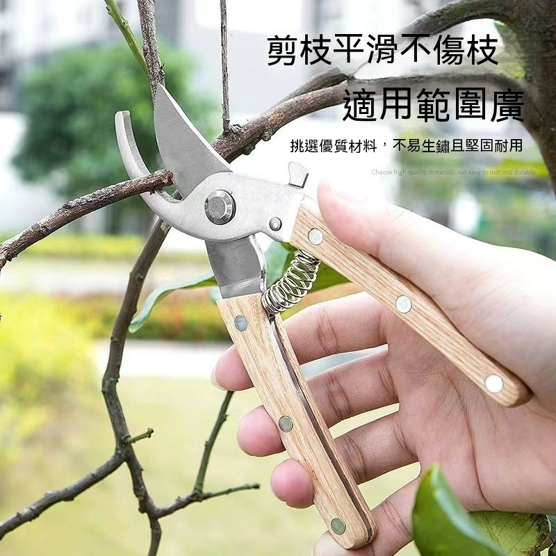 現貨 花園園藝剪刀 花園剪刀 修枝剪 園林工具果樹枝剪刀 仿舊剪刀 植物修剪 枝條修剪 | 蝦皮購物
