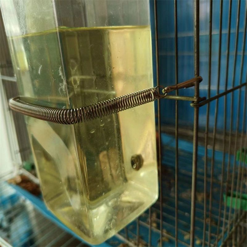 304不銹鋼拉簧 高彈帶扣 鸚鵡兔子倉鼠龍貓倉鼠飲水器固定彈簧 拉簧 | 蝦皮購物