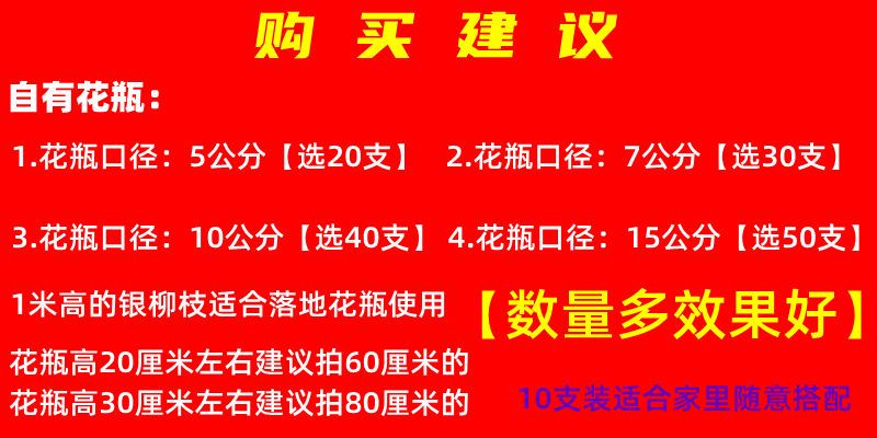 銀柳幹花真鮮枝花瓶水養客廳裝飾擺件福桶紅色多彩招財耐寒年宵花銀柳