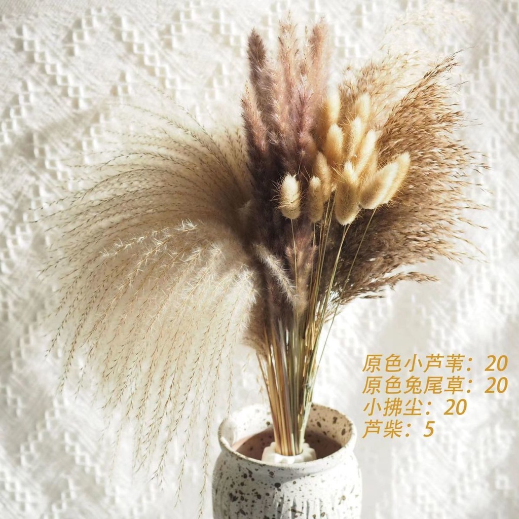 【限時特惠+送禮】蘆葦套裝熱銷蒲葦草小蘆葦幹花兔尾草小拂塵裝飾擺件客廳花束組閤3Q P9PP | 蝦皮購物