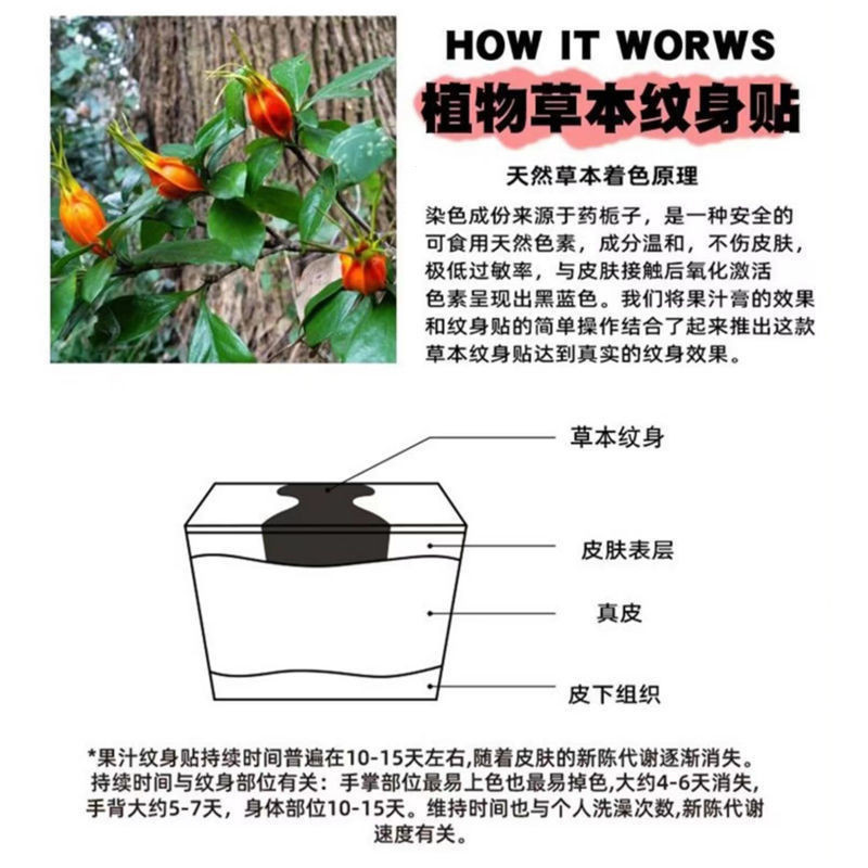 【一份八張】草本紋身貼紙果汁紋身小新果汁女男半永久不反光防水持久草本紋身貼UMOX | 蝦皮購物
