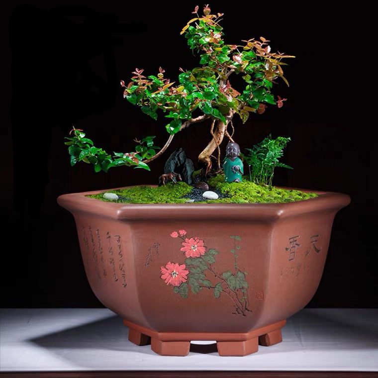 宜興 紫砂鉢 六角鉢 盆栽鉢 植木鉢 中国宜興 紫砂の鉢 盆栽鉢 植木鉢 小品盆栽鉢 大品盆栽鉢 - メルカリ