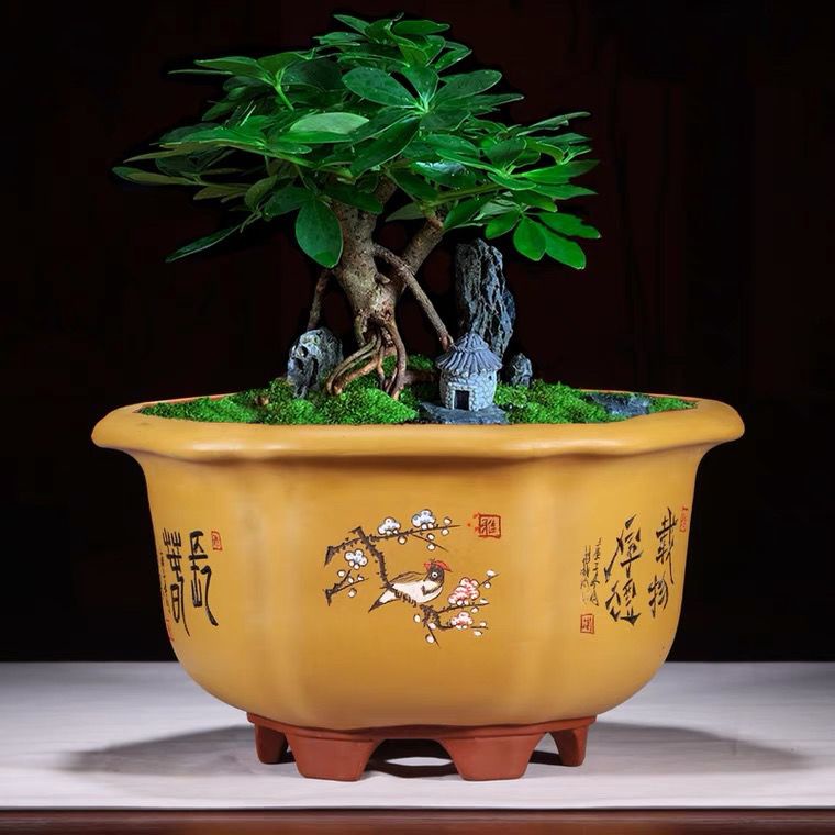 喜臨門精選』免運宜興紫砂花盆紫砂花盆大口徑六方花盆特大號六角