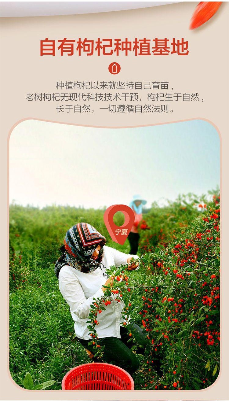 台灣熱賣 寧安堡 枸杞原漿 30ml/袋 紅枸杞子原液 鮮枸杞汁 無外盒 苟杞 飲品 | 蝦皮購物