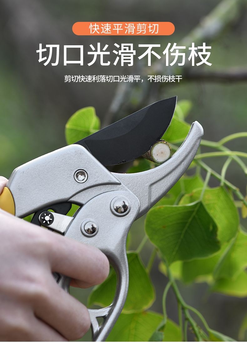 省力果樹修枝剪刀分段式專業園藝修剪樹枝園林修花枝剪粗枝剪子 修枝剪 花枝剪 園藝剪刀 剪枝剪 粗枝剪 樹枝剪刀 修花剪刀 | 蝦皮購物