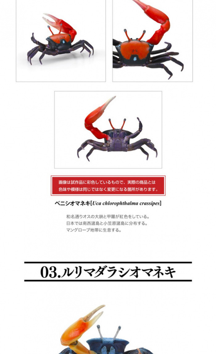 生物大圖鑑 扭蛋 甲殻類動物01 蟹類琵琶蝦招潮蟹模型 08R5 | 蝦皮購物