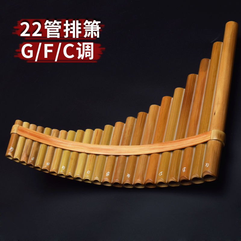 可開發票 22管苦竹排簫竹子排笛專業演奏排蕭成人F初學G入門22苗C調樂器 排笛排簫 管排笛 風律排笛 管排笛 手工樂器 | 蝦皮購物