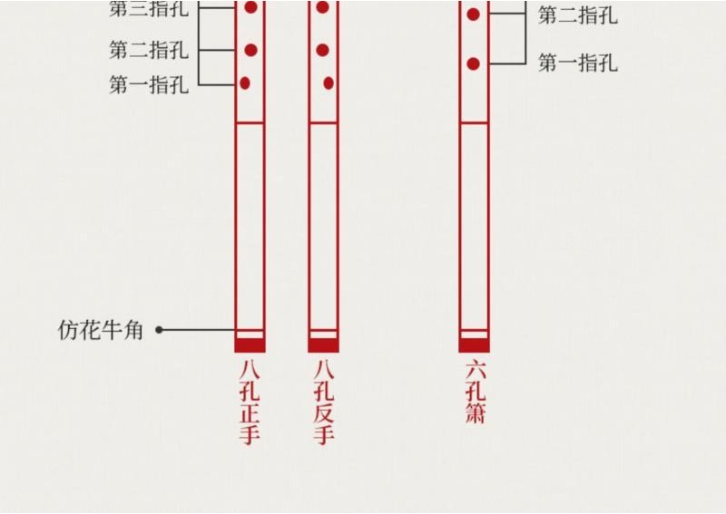 洞簫樂器入門素初學兒童便攜各種專業高檔g調紫竹長短蕭笛排簫笛洞簫 紫竹 一節短簫 初學入門成人 G調 自學便攜 學生樂器 | 蝦皮購物