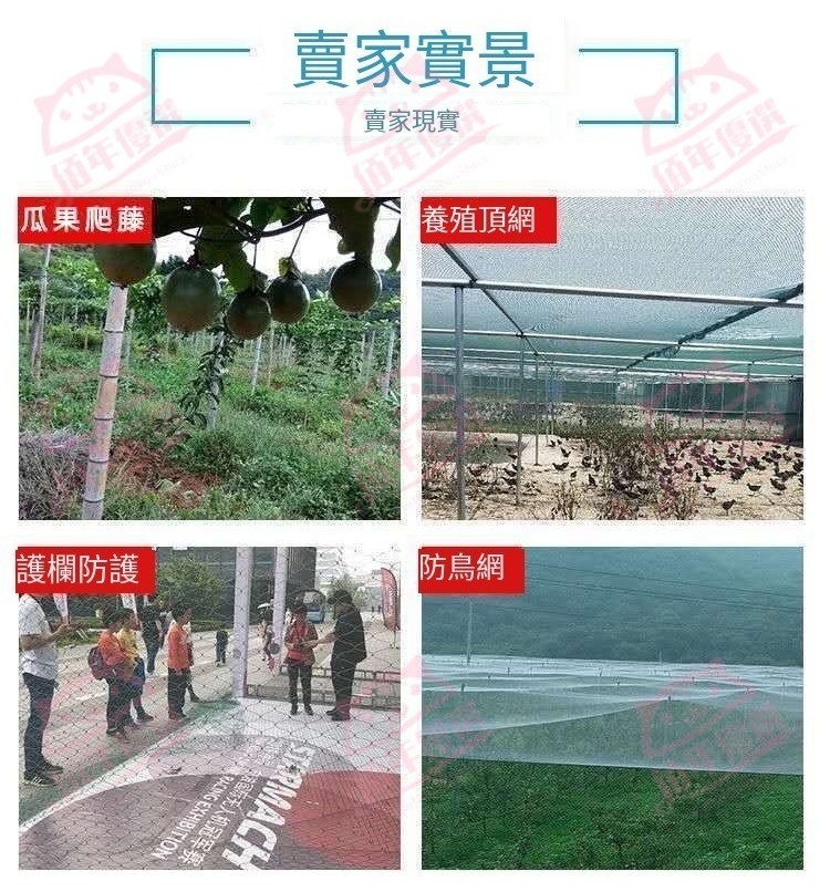 台灣出貨 100米家禽養雞網 欄雞網 養殖網 菜園網 圍山雞網 防雞網 圍欄網 尼龍網 熱銷 | 蝦皮購物
