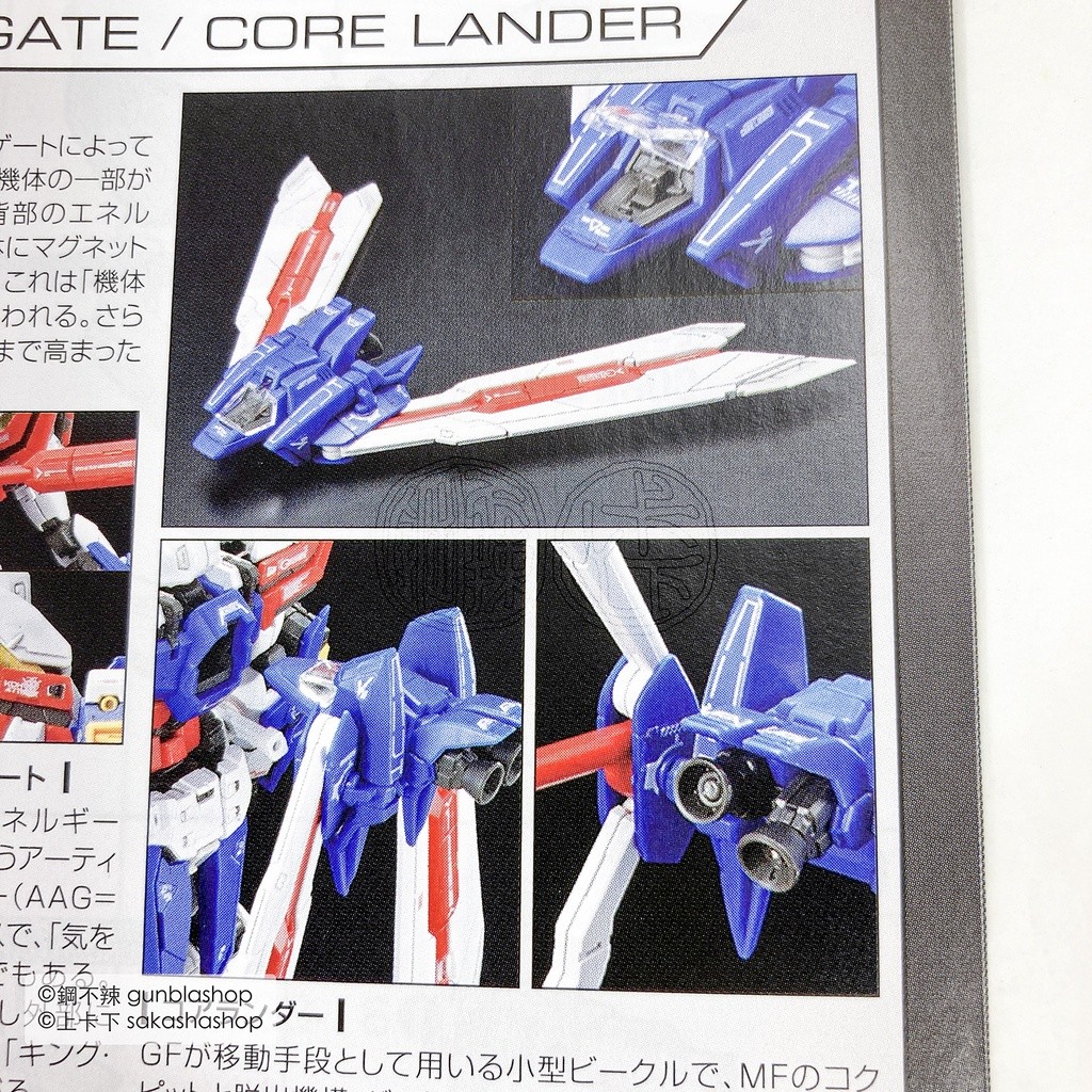 BANDAI 組裝模型 RG 1/144 #37 God GUNDAM 神鋼彈 神威鋼彈 機動武鬥傳G鋼彈 鋼不辣商舖 | 蝦皮購物
