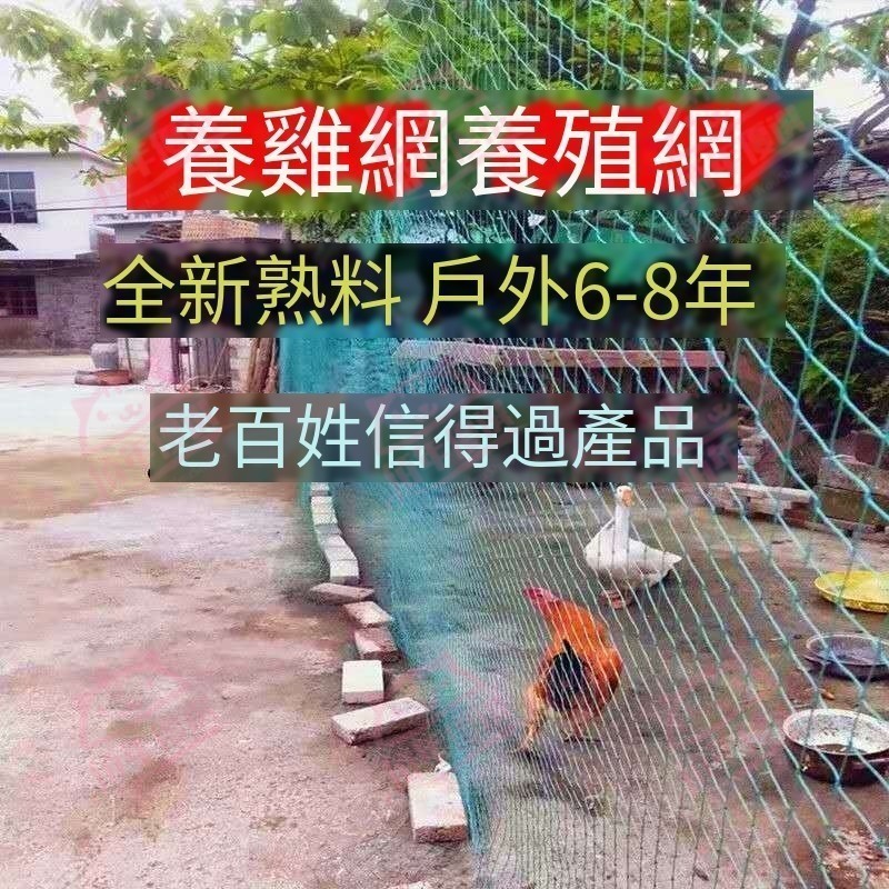 台灣出貨 100米家禽養雞網 欄雞網 養殖網 菜園網 圍山雞網 防雞網 圍欄網 尼龍網 熱銷 | 蝦皮購物