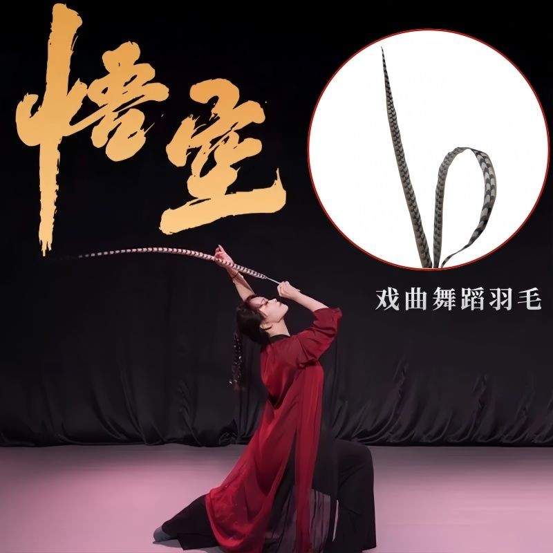 戲曲翎子 俏花旦 野雞毛 翎子 天然羽毛 超長翎子 翎毛頭飾翎羽京劇花旦 翎毛道具 毛地雞 孫悟空羽毛山鷄毛仿真翎子 | 蝦皮購物