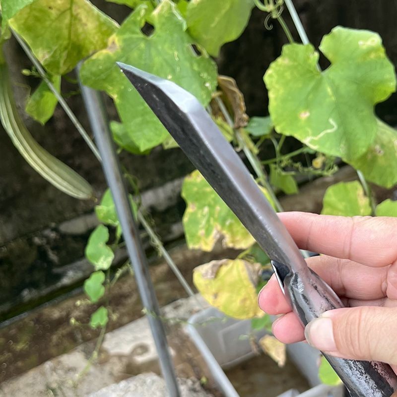 【臺灣熱銷】鍛打迷你小柴刀手工一體竹篾刀破竹颳竹毛刀戶外劈柴柴刀農用鎌刀 | 蝦皮購物