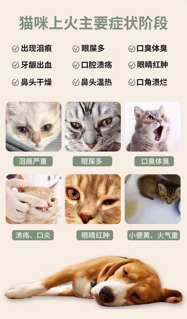 李拜六寵物 大黃蘇打/片寵物通用 貓/狗/積挑食厭食/促進/消化/開胃健脾/瀉火/通便 IK0K | 蝦皮購物